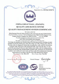 Quality management system certificate copy
