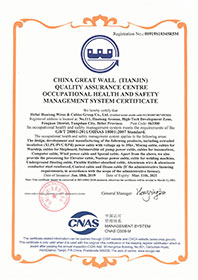 Occupational health and safety management system certificate copy