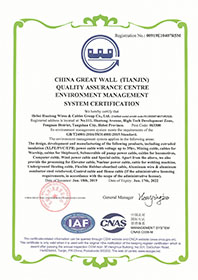 Environmental management system certificate copy