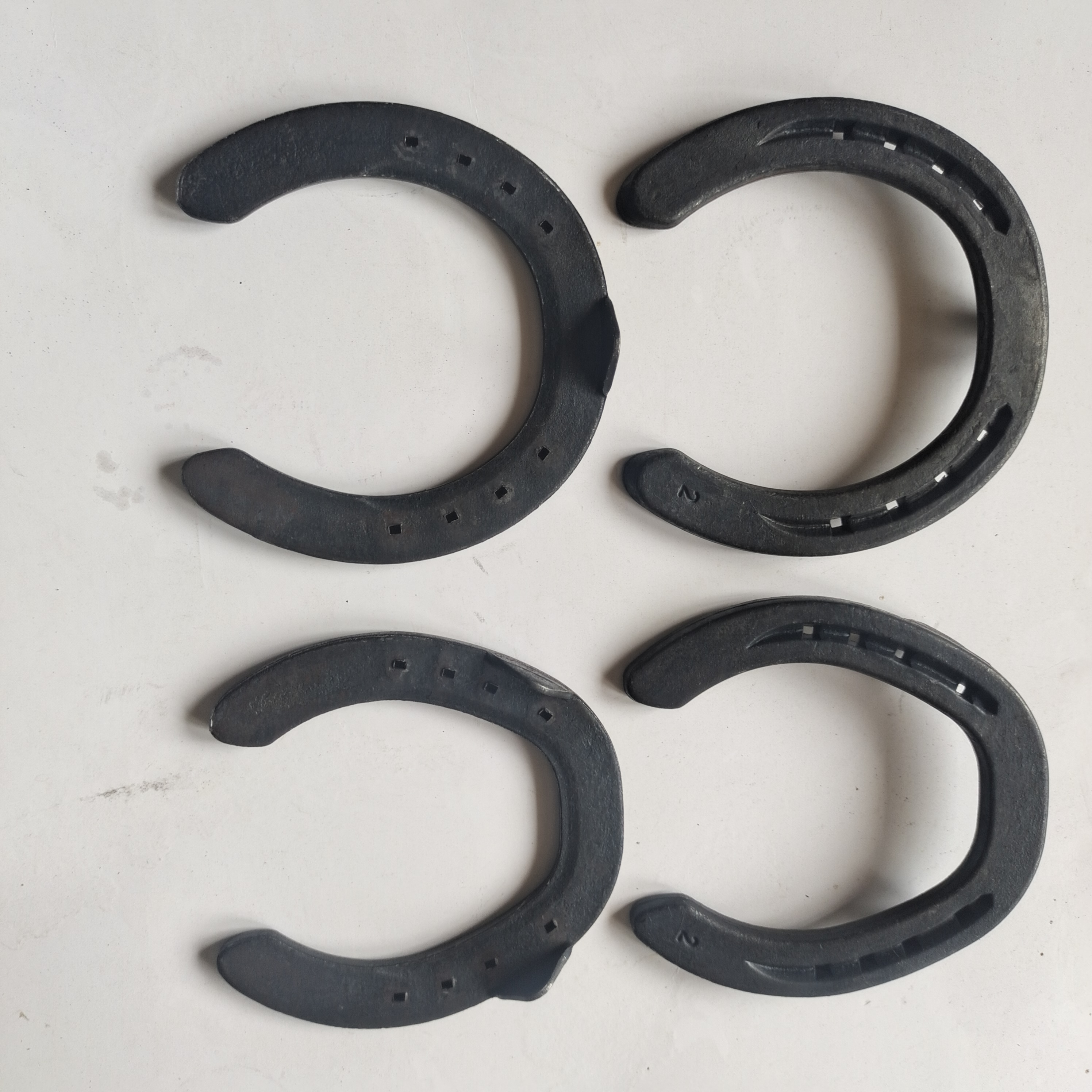 Piedi Di Cavallo Marrone E Zoccoli Con Ferro Di Cavallo In Acciaio, Dettaglio Closeup Foto Stock - Foto 10