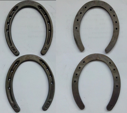 Wholesale Steel Horseshoes from China Factory Ch Type Professional Grade Smooth Surface Durable Equestrian Equipment