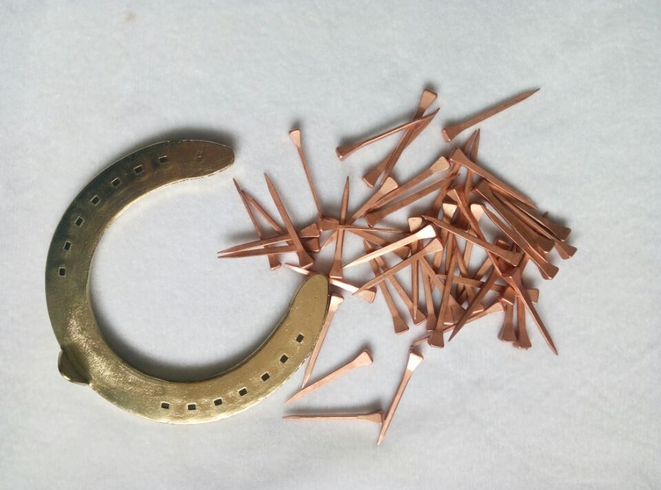 Kupferbeschichtete Rennhufn&auml;gel im Gro&szlig;handel aus Stahl, flexibel und langlebig, Gr&ouml;&szlig;e E4, 475mm, 250 St&uuml;ck pro Schachtel